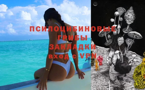 дживик Лагань