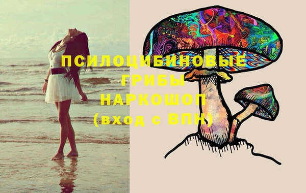 дживик Лагань