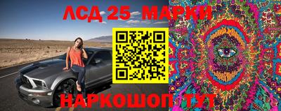 стаф Аргун