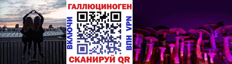 Галлюциногенные грибы Psilocybe Ачинск