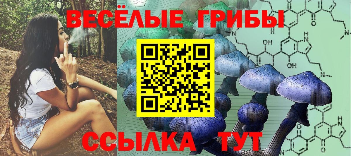 Галлюциногенные грибы Psilocybe  Галлюциногенные грибы GOLDEN TEACHER  Ачинск  Вход с VPN 