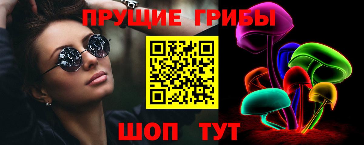 даркнет сайт  Ачинск  Галлюциногенные грибы прущие грибы  Галлюциногенные грибы ЛСД 