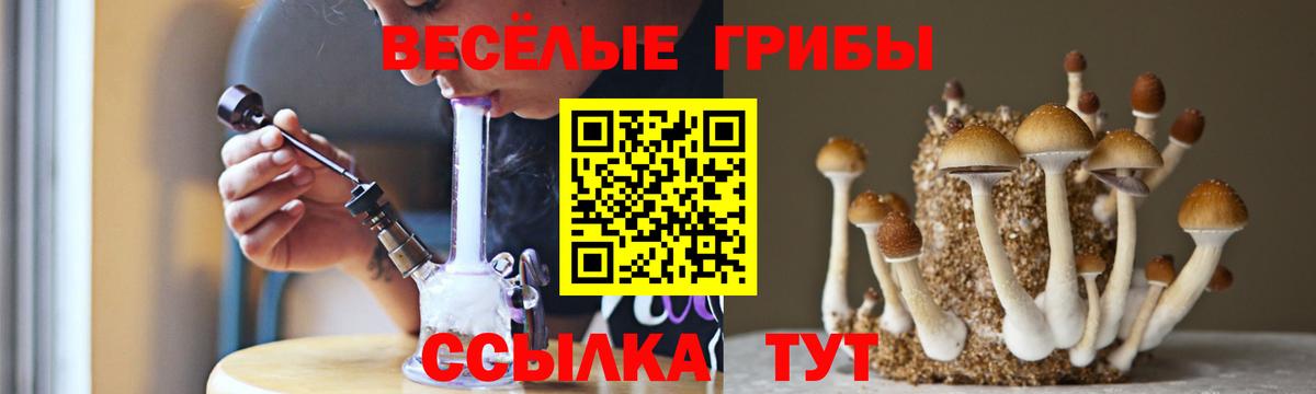 Псилоцибиновые грибы MAGIC MUSHROOMS Ачинск