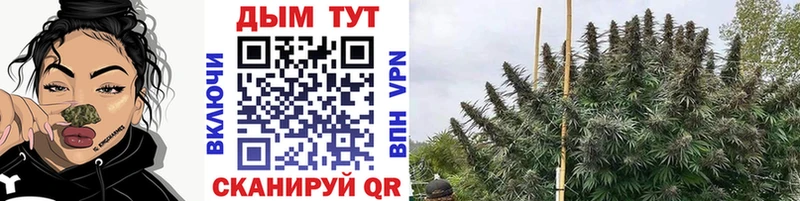 Шишки марихуана тримм закладки Ачинск